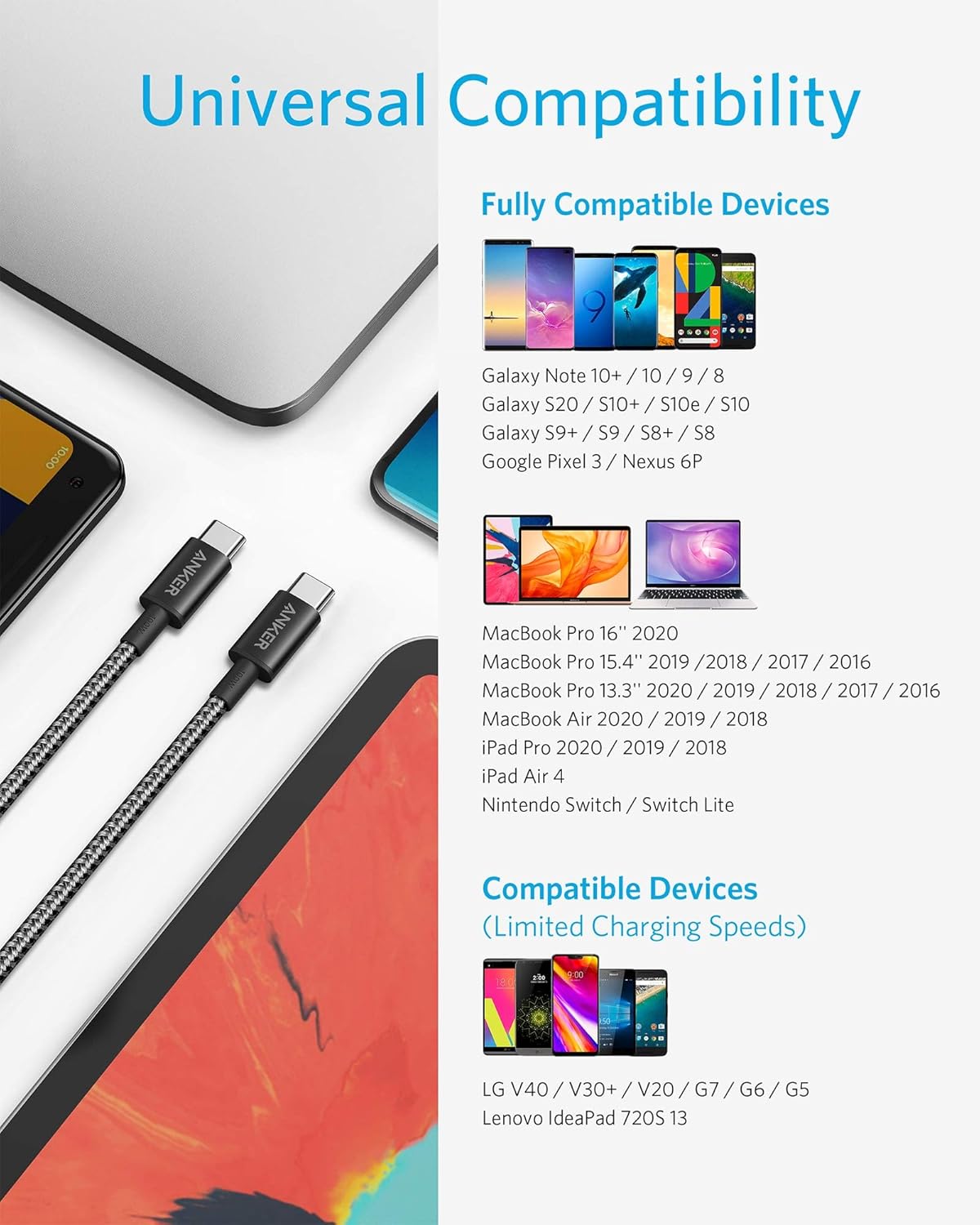 USB-C to USB-C Cable (10ft, Braided, 100W)